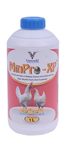 minpro-xp