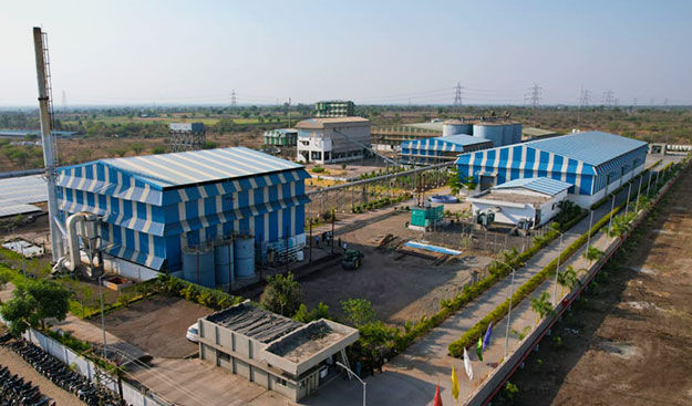 Oil Seed Division