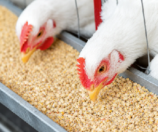 Poultry products