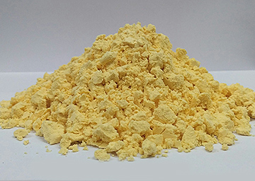 Egg yolk powder
