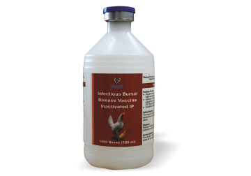 VH IBD K